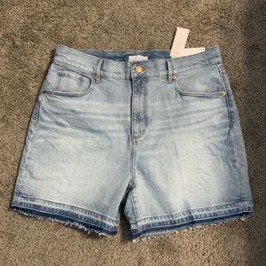 Nwt loft the 90s high rise shorts size 30